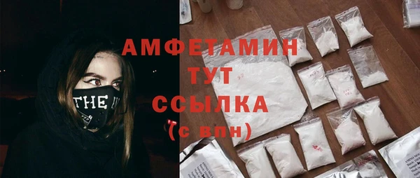 гидра Алексеевка