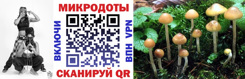 Галлюциногенные грибы Psilocybe Старая Купавна