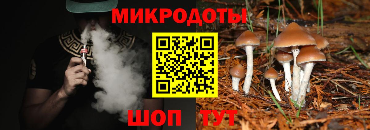 Старая Купавна  Галлюциногенные грибы прущие грибы  Вход с VPN 