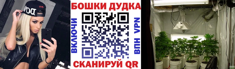 где купить наркотик  Старая Купавна  Шишки марихуана THC 21% 